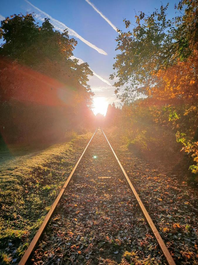 Fewo Im Alten Bahnhof Niederrossbach ภายนอก รูปภาพ